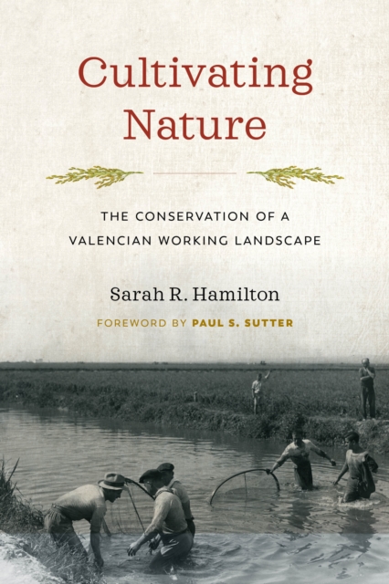 Cultivating Nature : The Conservation of a Valencian Working Landscape, Hardback Book
