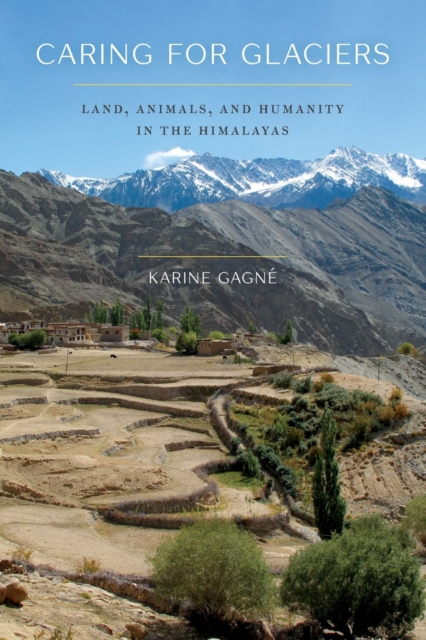 Caring for Glaciers : Land, Animals, and Humanity in the Himalayas, Paperback / softback Book