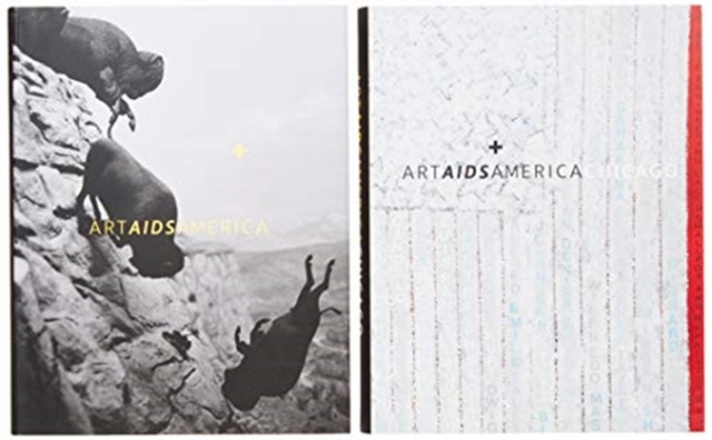 Art AIDS America / Art AIDS America Chicago Boxed Set, Hardback Book