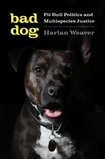 Bad Dog : Pit Bull Politics and Multispecies Justice, Hardback Book