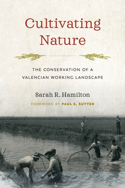 Cultivating Nature : The Conservation of a Valencian Working Landscape, Paperback / softback Book