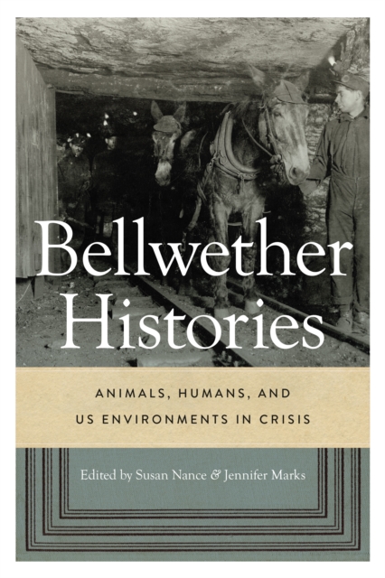 Bellwether Histories : Animals, Humans, and US Environments in Crisis, Hardback Book