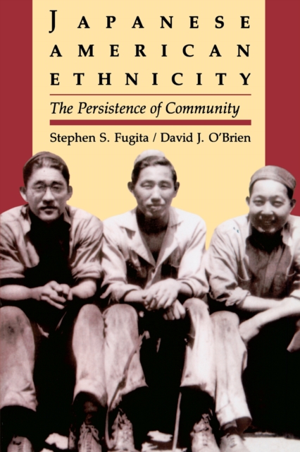 Japanese American Ethnicity : The Persistence of Community, PDF eBook