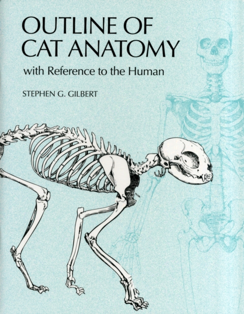 Outline of Cat Anatomy with Reference to the Human, Paperback / softback Book