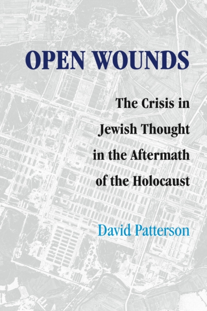 Open Wounds : The Crisis of Jewish Thought in the Aftermath of the Holocaust, Hardback Book