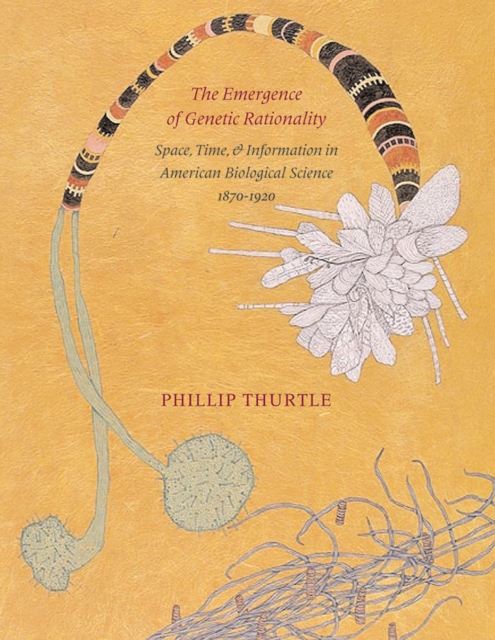 The Emergence of Genetic Rationality : Space, Time, and Information in American Biological Science, 1870-1920, Paperback / softback Book