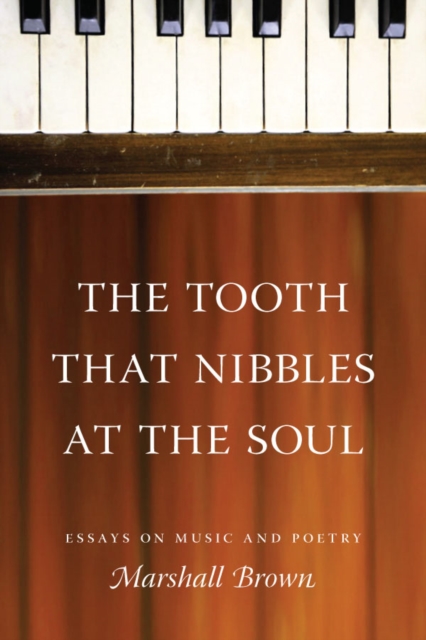 The Tooth That Nibbles at the Soul : Essays on Music and Poetry, Paperback / softback Book