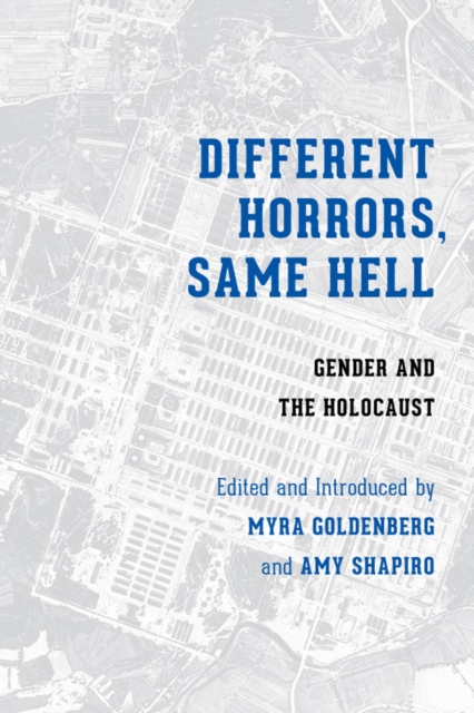 Different Horrors, Same Hell : Gender and the Holocaust, Hardback Book