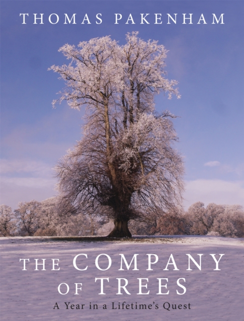 The Company of Trees : A Year in a Lifetime's Quest, Hardback Book