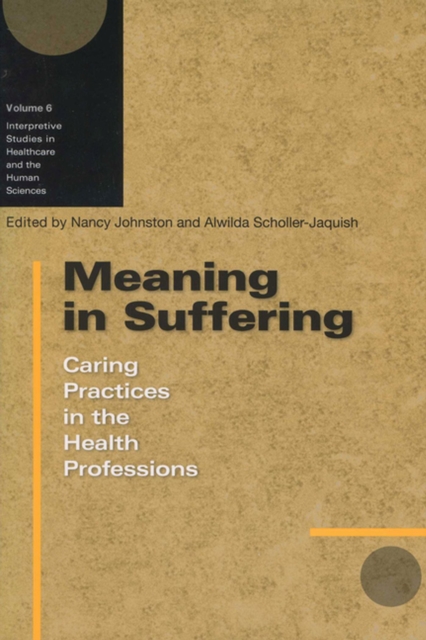 Meaning in Suffering : Caring Practices in the Health Professions, Paperback / softback Book