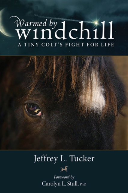 Warmed by Windchill : A Tiny Colt's Fight for Life, Paperback / softback Book