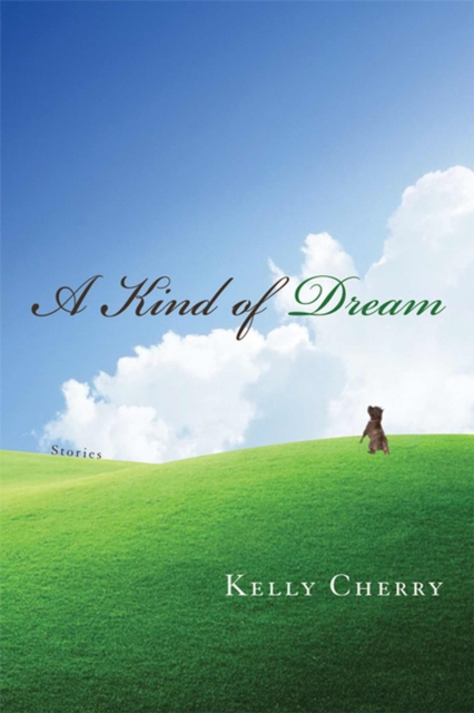A Kind of Dream : Stories, Hardback Book