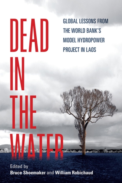 Dead in the Water : Global Lessons from the World Bank's Model Hydropower Project in Laos, Hardback Book