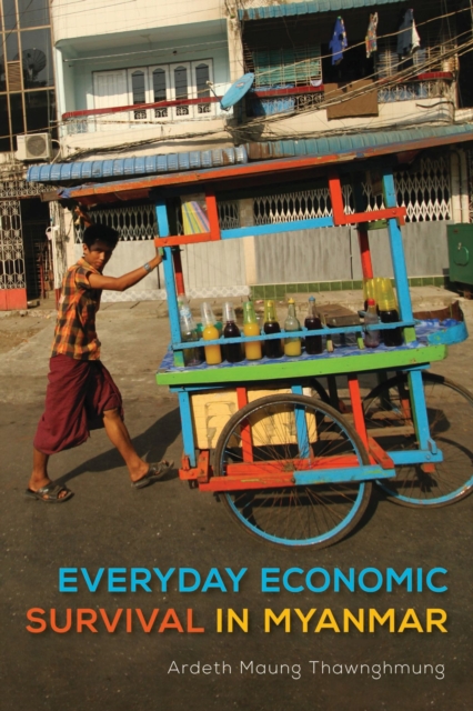 Everyday Economic Survival in Myanmar, Paperback / softback Book