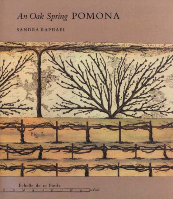 An Oak Spring Pomona : A Selection of the Rare Books on Fruit in the Oak Spring Garden Library, Hardback Book
