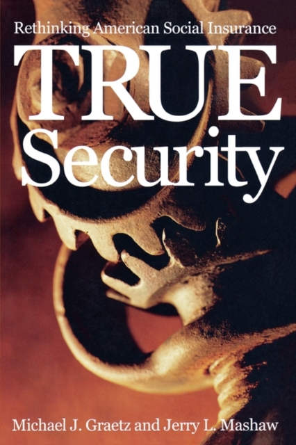 True Security : Rethinking American Social Insurance, Paperback / softback Book
