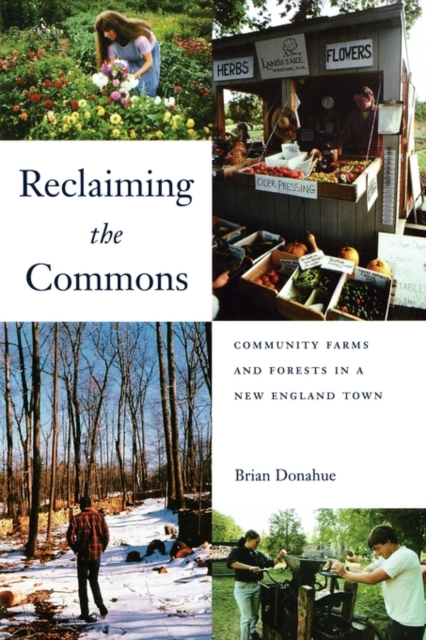 Reclaiming the Commons : Community Farms and Forests in a New England Town, Paperback / softback Book