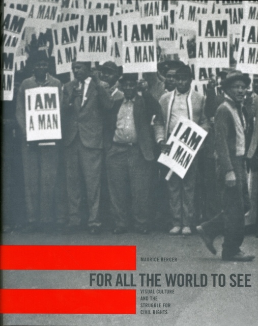 For All the World to See : Visual Culture and the Struggle for Civil Rights, Hardback Book