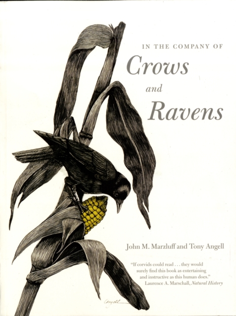 In the Company of Crows and Ravens, Paperback / softback Book
