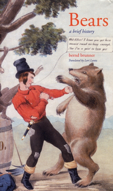 Bears, Hardback Book