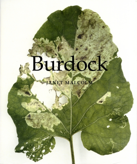 Burdock, Hardback Book