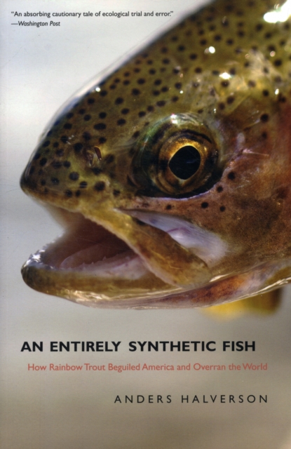 An Entirely Synthetic Fish : How Rainbow Trout Beguiled America and Overran the World, Paperback / softback Book