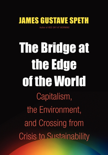 The Bridge at the End of the World, Paperback Book