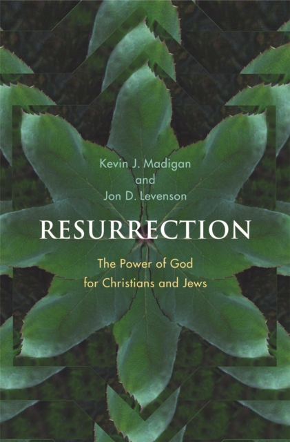 Resurrection : The Power of God for Christians and Jews, PDF eBook