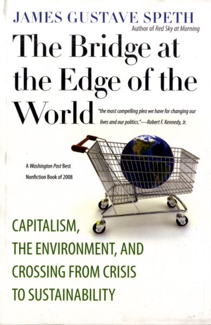 The Bridge at the Edge of the World : Capitalism, the Environment, and Crossing from Crisis to Sustainability, Paperback / softback Book