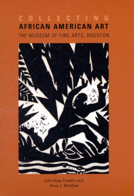 Collecting African American Art : The Museum of Fine Arts, Houston, Paperback / softback Book