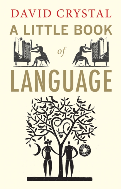 A Little Book of Language, EPUB eBook