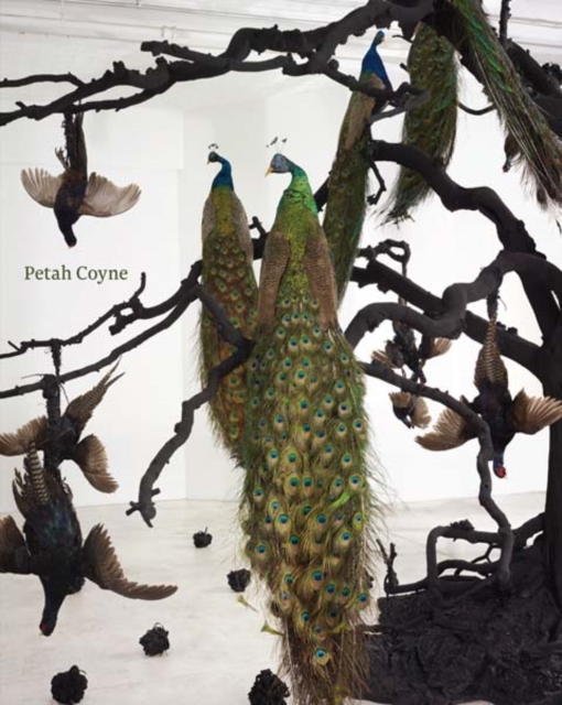 Petah Coyne : Everything That Rises Must Converge, Paperback / softback Book