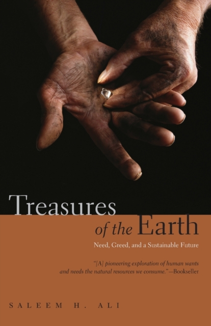 Treasures of the Earth : Need, Greed, and a Sustainable Future, Paperback / softback Book