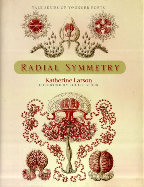 Radial Symmetry, Hardback Book