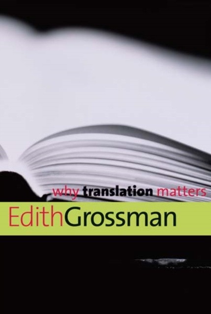 Why Translation Matters, Paperback / softback Book