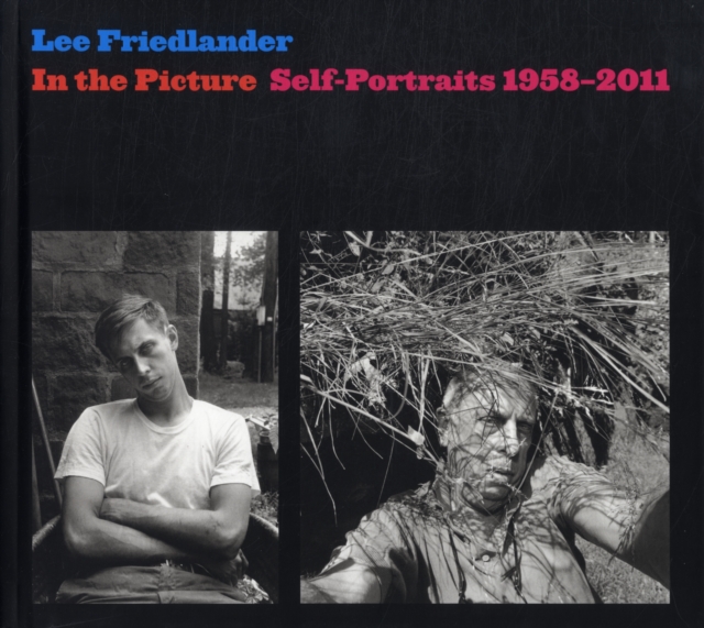 In the Picture : Self-portraits, 1958-2011, Hardback Book