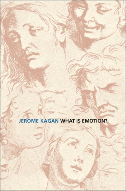 What Is Emotion? : History, Measures, and Meanings, EPUB eBook