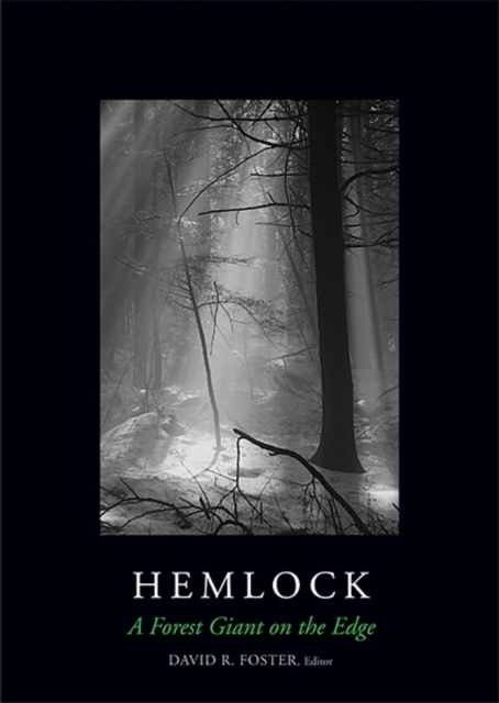 Hemlock : A Forest Giant on the Edge, Hardback Book