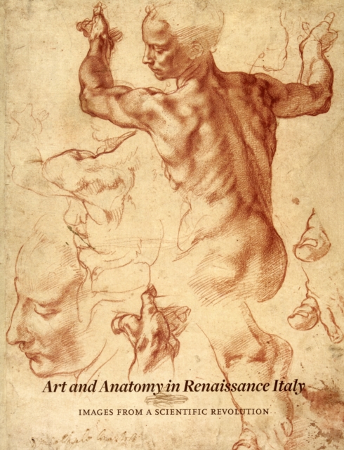 Art and Anatomy in Renaissance Italy : Images from a Scientific Revolution, Paperback / softback Book