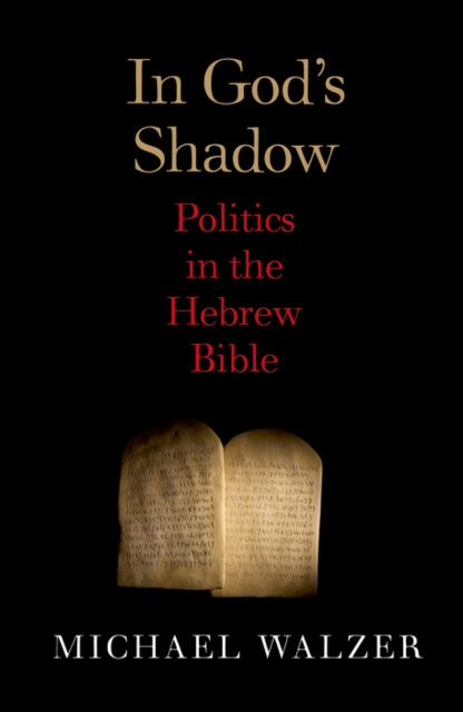 In God&#39;s Shadow : Politics in the Hebrew Bible, EPUB eBook