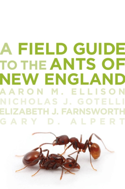 A Field Guide to the Ants of New England, PDF eBook