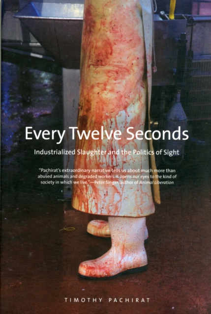 Every Twelve Seconds : Industrialized Slaughter and the Politics of Sight, Paperback / softback Book