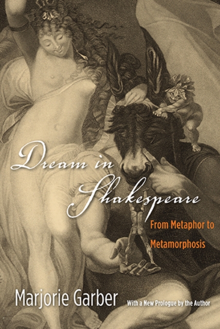 Dream in Shakespeare : From Metaphor to Metamorphosis, Paperback / softback Book