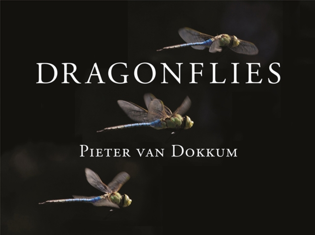 Dragonflies : Magnificent Creatures of Water, Air, and Land, Hardback Book