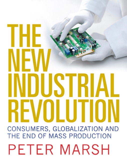 The New Industrial Revolution : Consumers, Globalization and the End of Mass Production, Paperback / softback Book