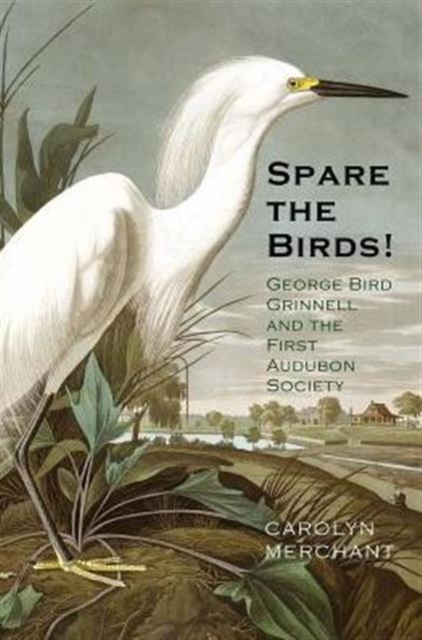 Spare the Birds! : George Bird Grinnell and the First Audubon Society, Hardback Book