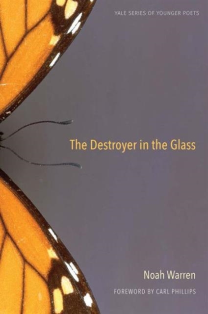 The Destroyer in the Glass, Hardback Book