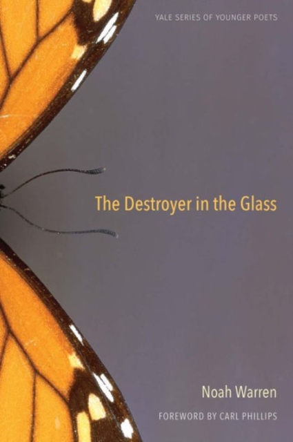 The Destroyer in the Glass, Paperback / softback Book
