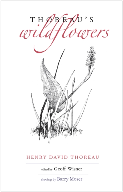 Thoreau&#39;s Wildflowers, EPUB eBook