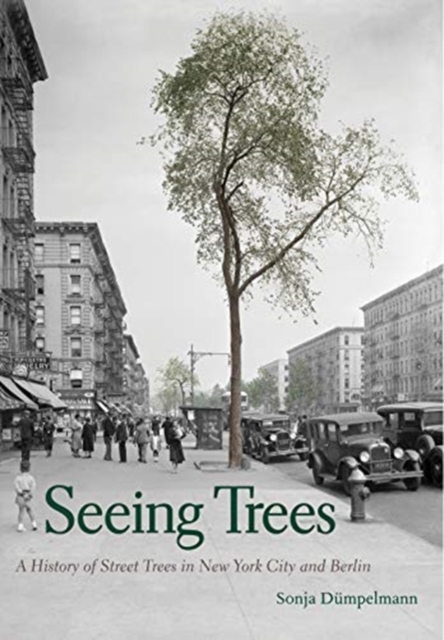 Seeing Trees : A History of Street Trees in New York City and Berlin, Hardback Book